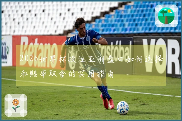 2026世界杯投注亚洲盘口如何选择和赔率取舍的实用指南